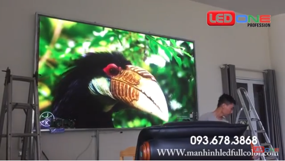 Thi công màn hình LED P1.6 tại công ty Xuân Thiện Ninh Bình